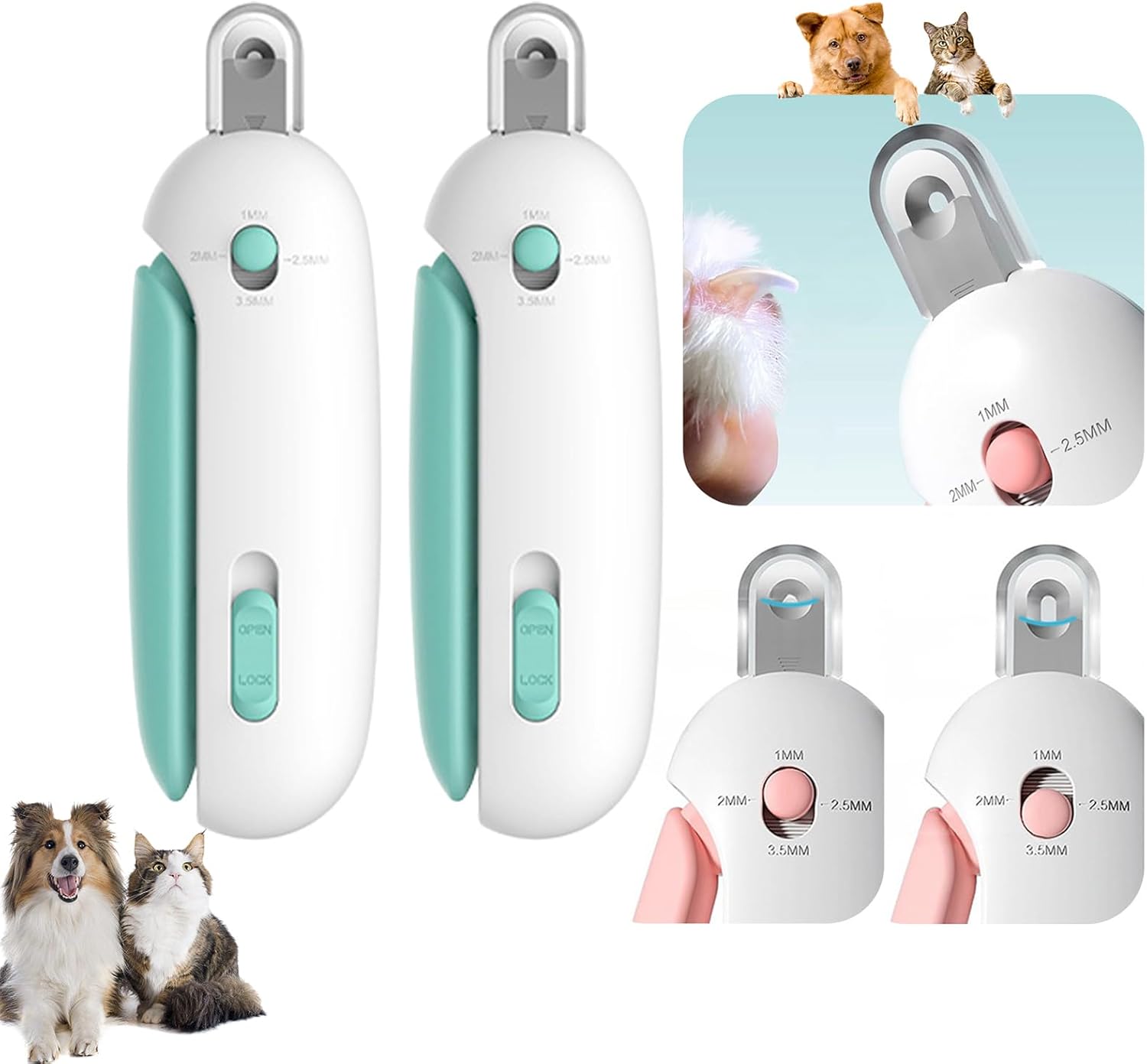 61BVnBh3unL._AC_SL1500_