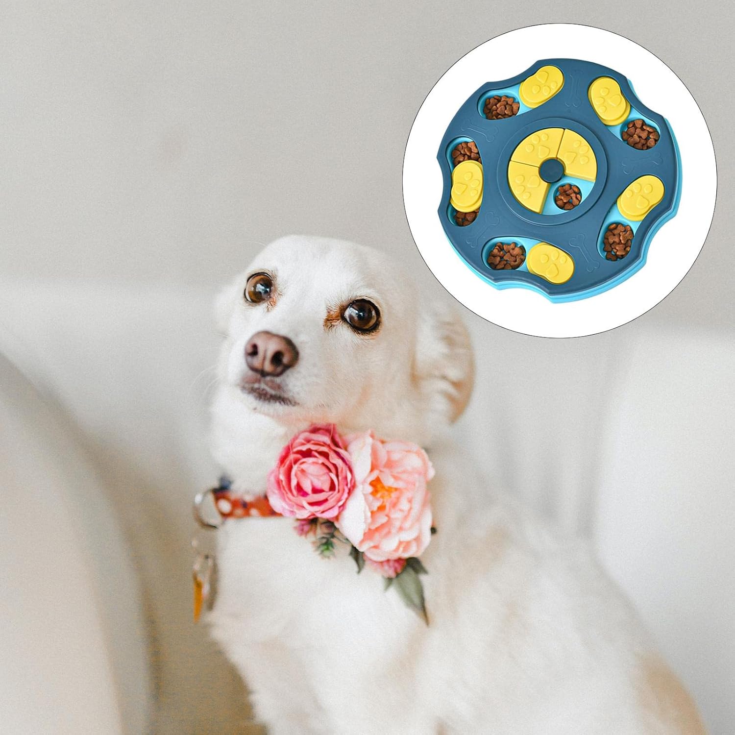 71oN-rh99rL._SL1500_